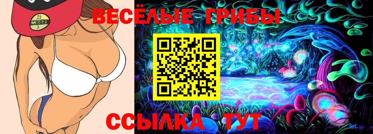 Валуйки  Галлюциногенные грибы Psilocybe  Вход с VPN 